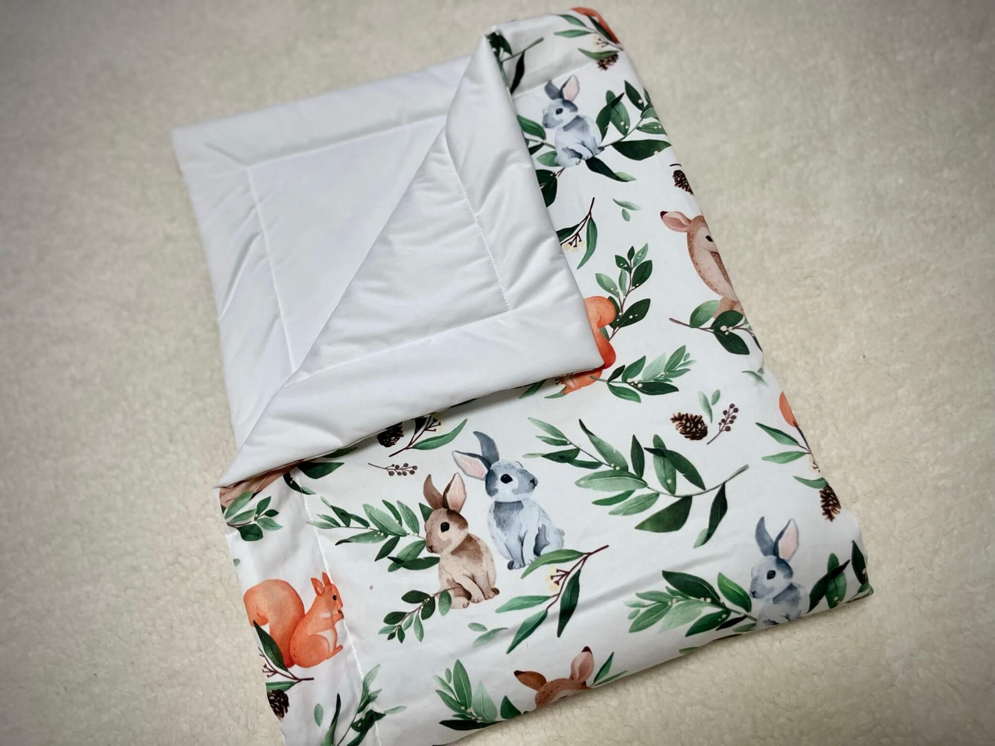 6FE51598-77A9-4CC6-9FD8-25BE478E4169