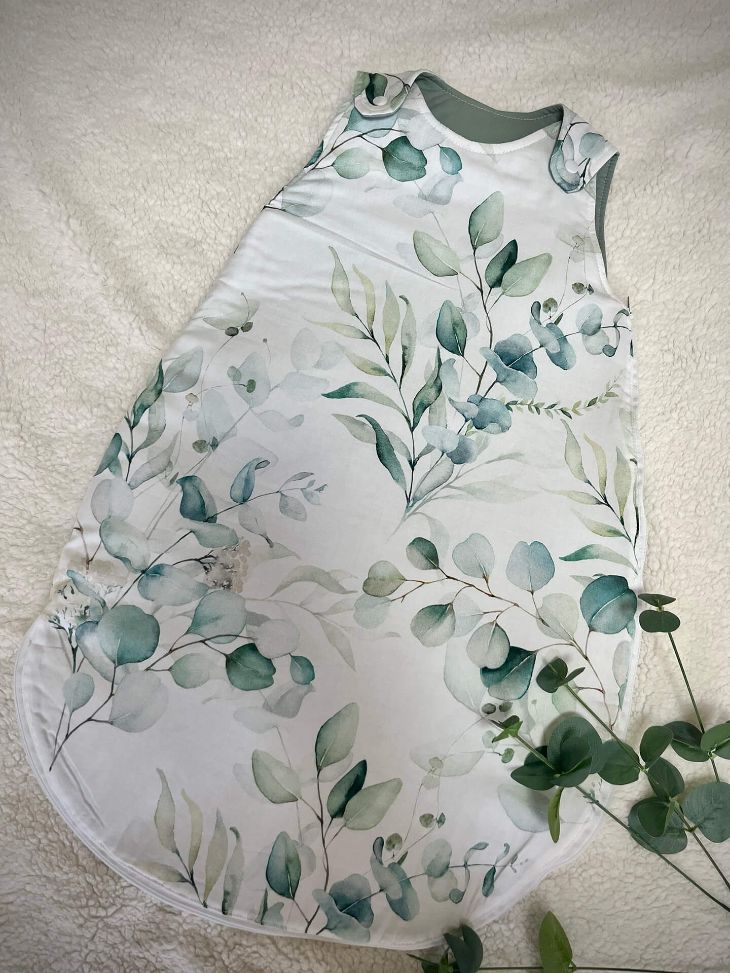 babazsak-eukaliptusz