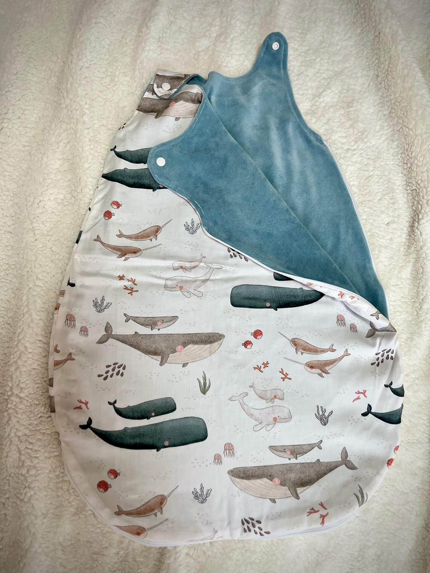 babazsak-tengeri-elovilag-2